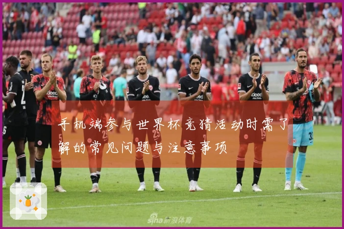 手机端参与世界杯竞猜活动时需了解的常见问题与注意事项