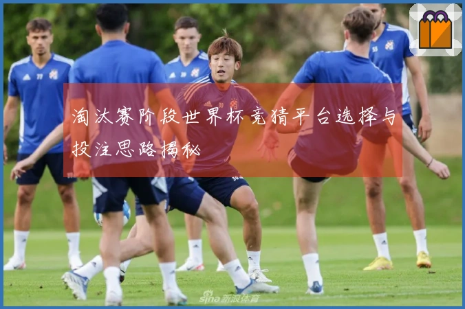 淘汰赛阶段世界杯竞猜平台选择与投注思路揭秘